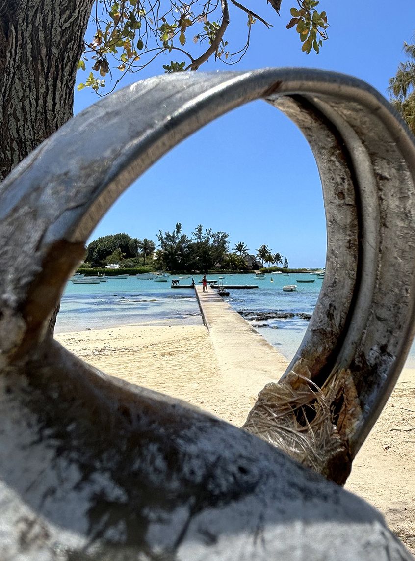 Cap Malheureux île Maurice