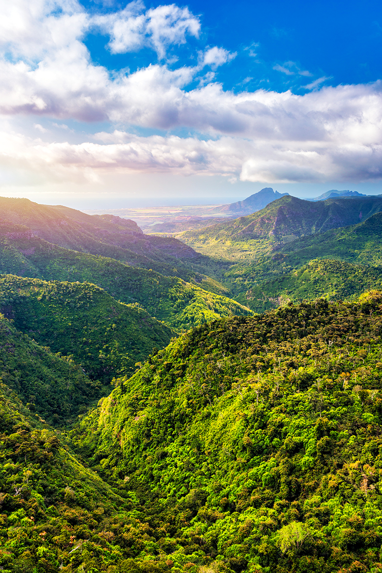 Parc national Rivière Noire île Maurice
