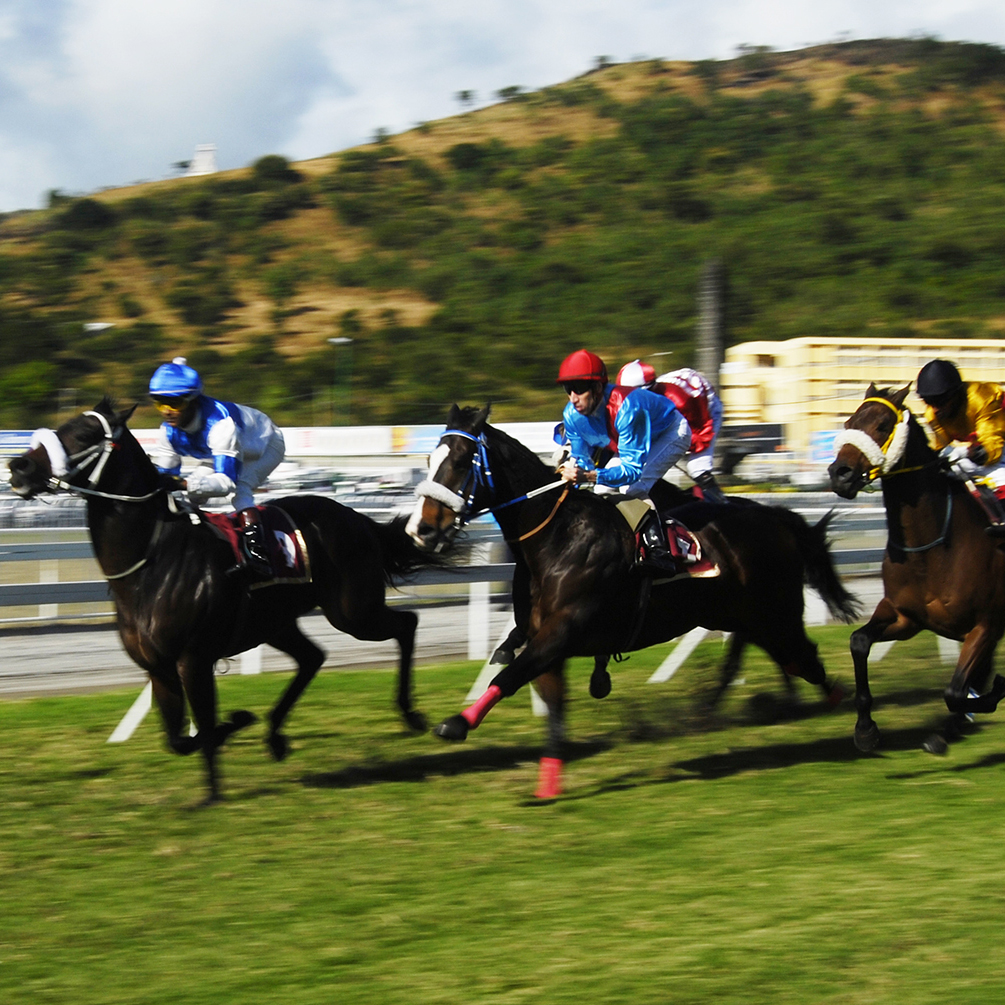 Hoppodrome Champs de Mars Port-Louis Capitale île Maurice