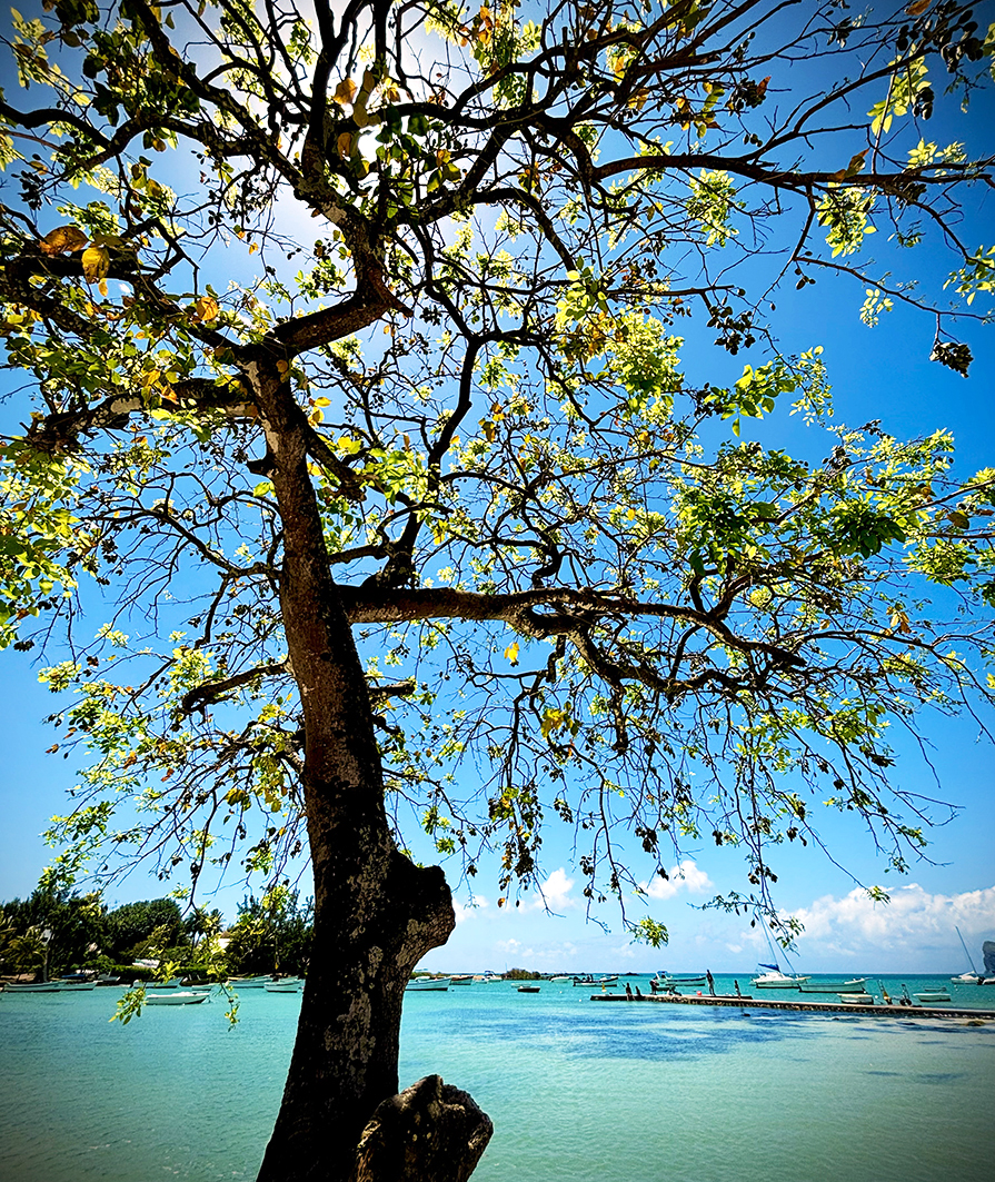 Cap Malheureux Ile Maurice