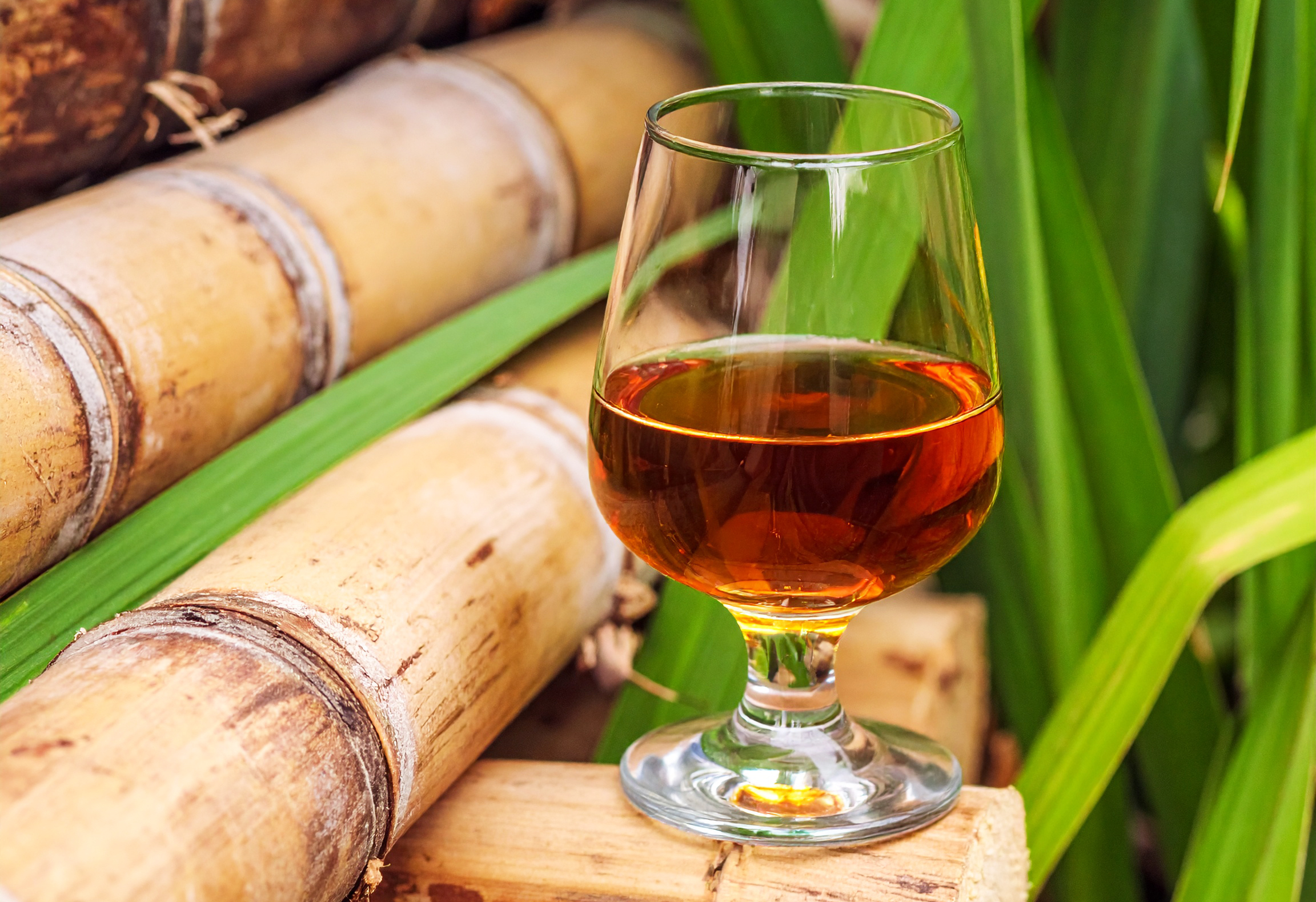rhum cannes à sucre île Maurice