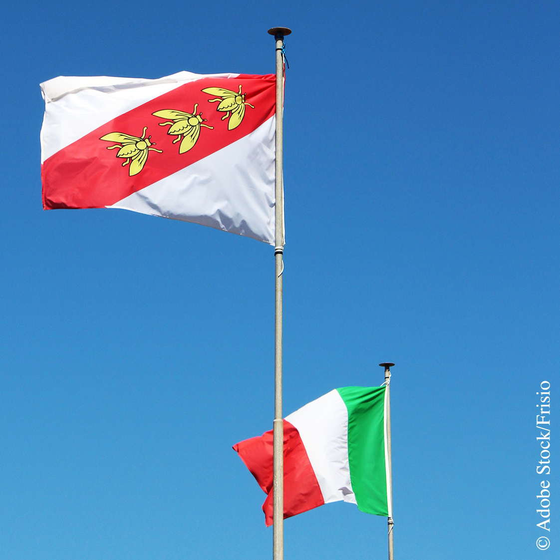 Drapeau Napoléon île d'Elbe