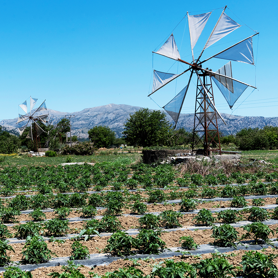 Potager éolienne Plateau de Lassithi Crète